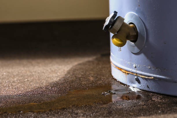 Best Water damage contractors near me  in Carol Stream, IL