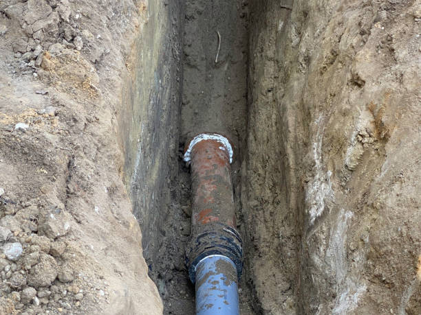 Best Basement water damage restoration  in Carol Stream, IL