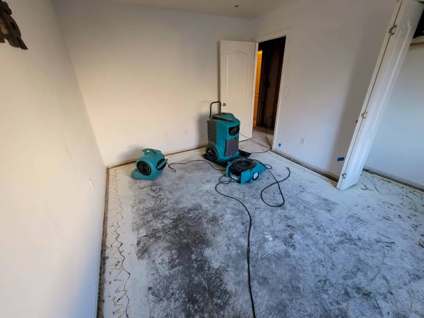 Best Flood damage cleanup  in Carol Stream, IL