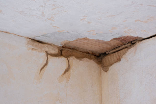Best Flood restoration services  in Carol Stream, IL