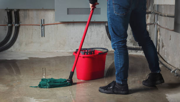 Best Water damage contractors near me  in Carol Stream, IL