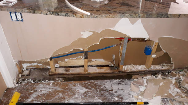 Best Water damage mitigation services  in Carol Stream, IL