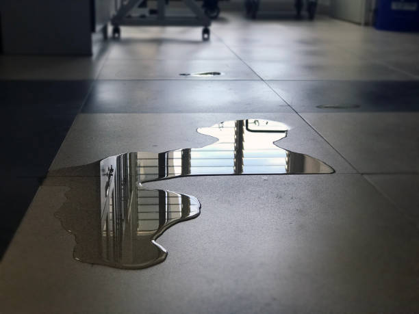 Best Emergency water damage restoration  in Carol Stream, IL