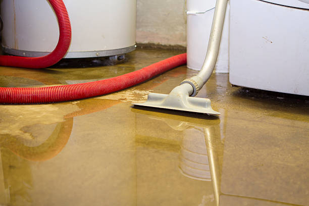 Best Water damage cleanup near me  in Carol Stream, IL