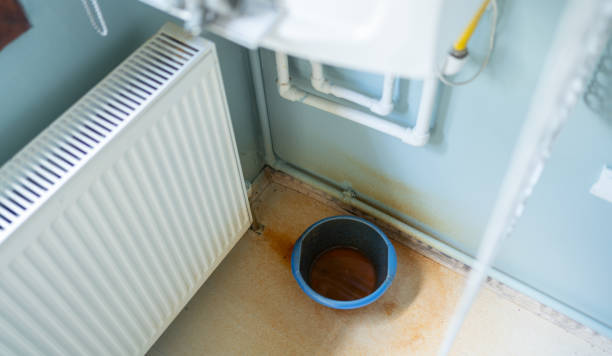 Best Flooded house restoration  in Carol Stream, IL