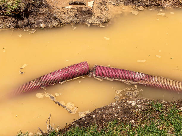 Best Fire Damage Restoration  in Carol Stream, IL