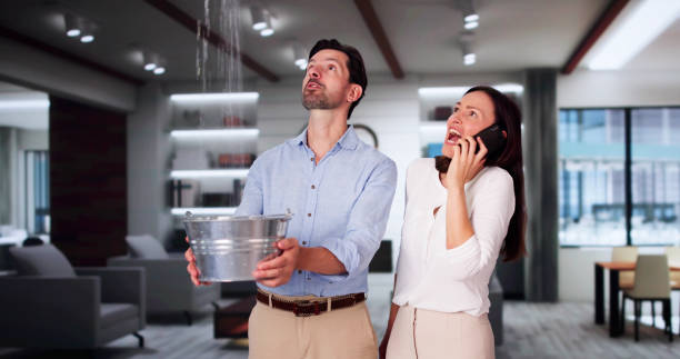 Best Flood restoration services  in Carol Stream, IL